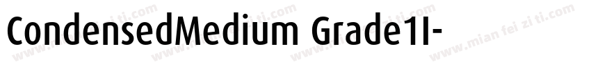 CondensedMedium Grade1I字体转换